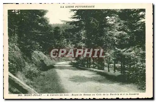 Cartes postales La Loire Pittoresque Mont Pilat a travers les bois Route de Bessat au Cret de la Perdrix et la J