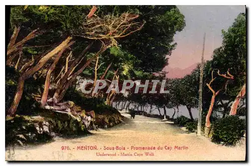 Cartes postales Menton Sous Bois Promenade du Cap Martin