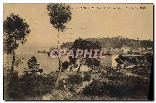 Cartes postales Environs de Toulon Creux St Georges Entre les Pins
