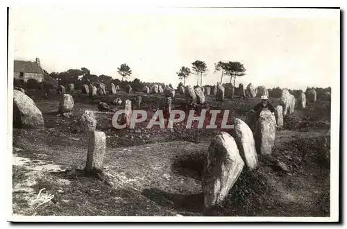 Cartes postales Carnac les Alignements du Petit Menec