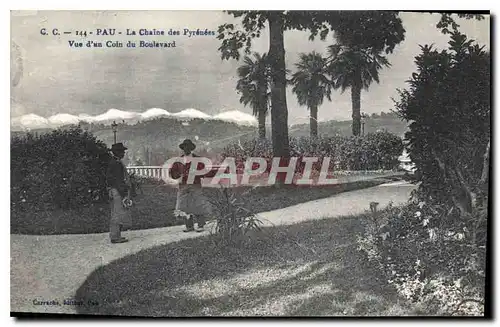 Cartes postales Pau la Chaine des Pyrenees vue d'un Coin du Boulevard