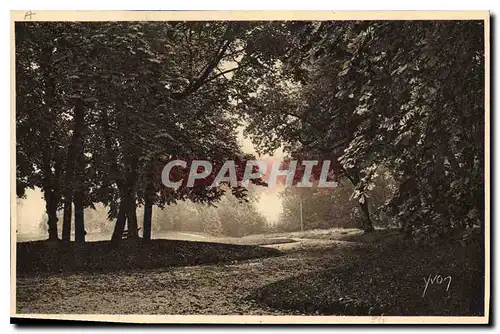 Cartes postales Chateau de Valencay un Coin du Parc