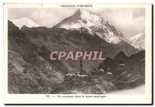 Cartes postales Tableaux Pyreneens un Troupeau dans la Haute montagne