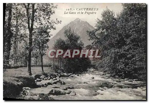 Cartes postales Cauterets Le Gave et le Peguere