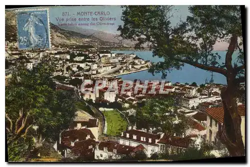 Cartes postales Monte Carlo Vue prise entre les Oliviers