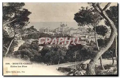 Cartes postales Monte Carlo Entre les Pins