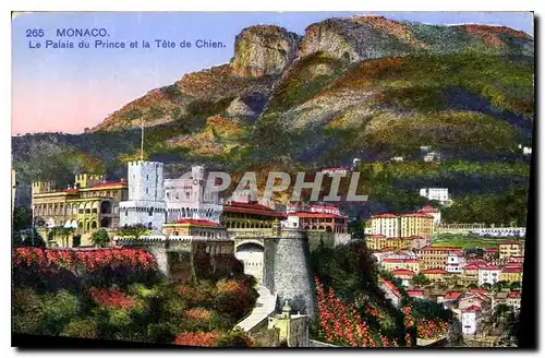 Cartes postales Monaco Le Palais du Price et la Tete de Chien