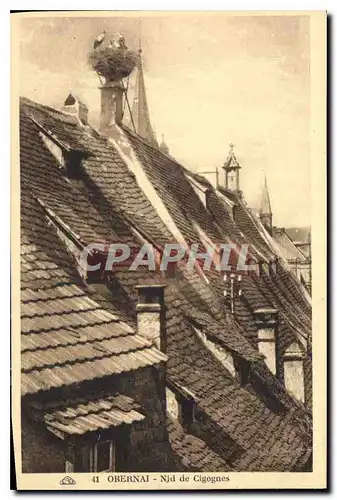 Cartes postales Obernai Nid de Cigognes