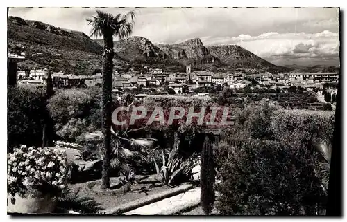 Cartes postales Vence la Jolie A M Vue generale entre les fleurs