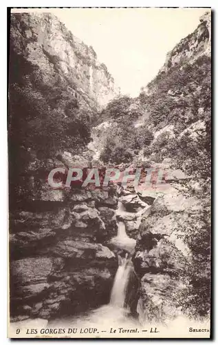 Ansichtskarte AK Les Gorges du Loup Le Torrent