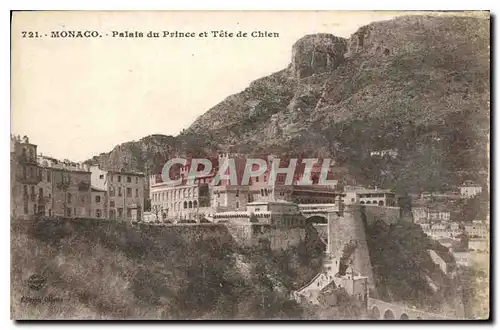 Cartes postales Monaco Palais du Prince et Tete de Chien