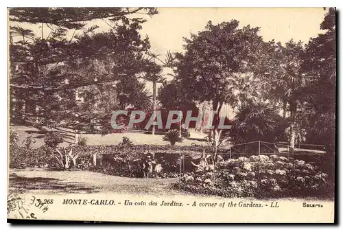 Cartes postales Monte Carlo Un Coin des Jardins