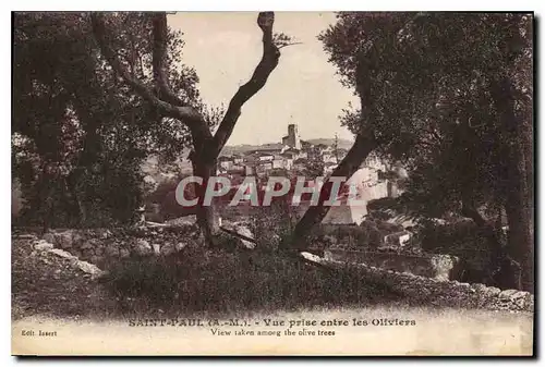 Cartes postales Saint Paul A M vue prise entre les Oliviers