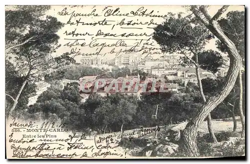 Cartes postales Monte Carlo entre les Pins