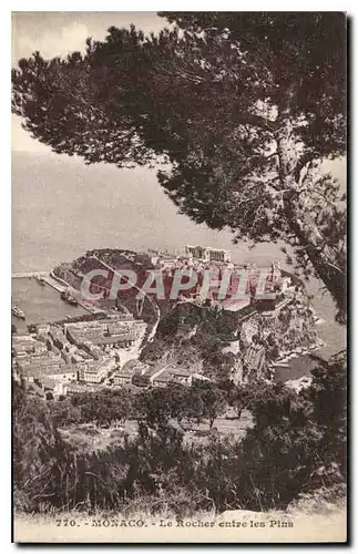 Cartes postales Monaco le Rocher entre les Pins