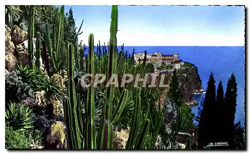 Ansichtskarte AK Monaco les Jardins Exotiques vue sur le Rocher de Monaco