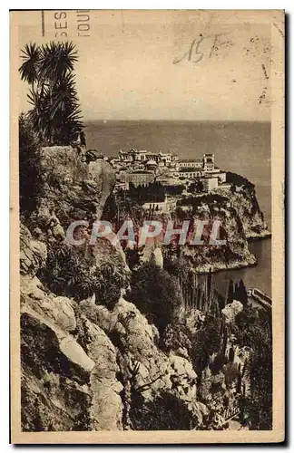 Cartes postales Cote d'Azur Artistique Monaco vue prise du jardin exotique