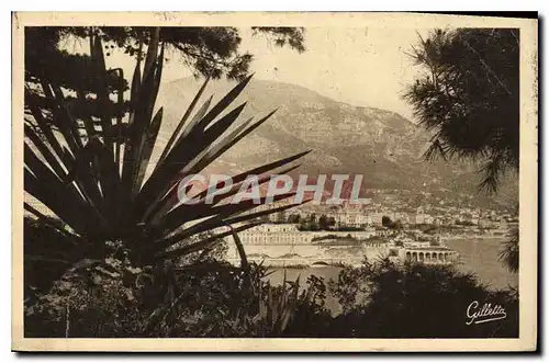 Ansichtskarte AK Cote d'Azur Artistique Monte Carlo Entre les Arbres