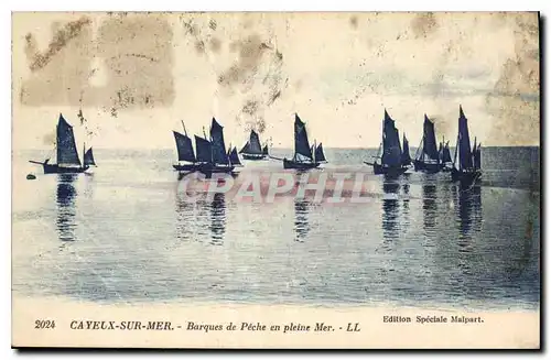 Cartes postales Cayeux sur Mer Barques de Peche en pleine Mer