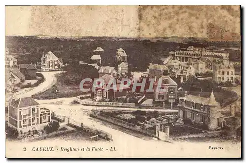 Cartes postales Cayeux Brighton et la Foret