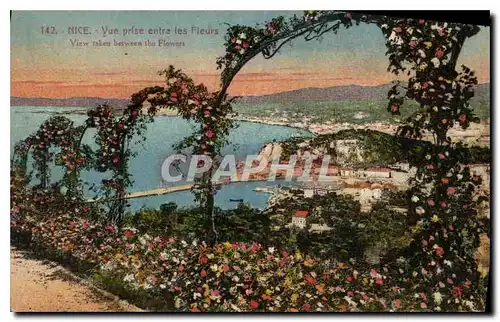 Cartes postales Nice vue prise entre les Fleurs