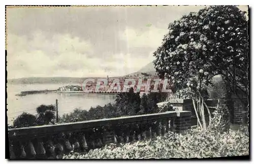 Cartes postales Menton entre les fleurs vue prise de Garvan