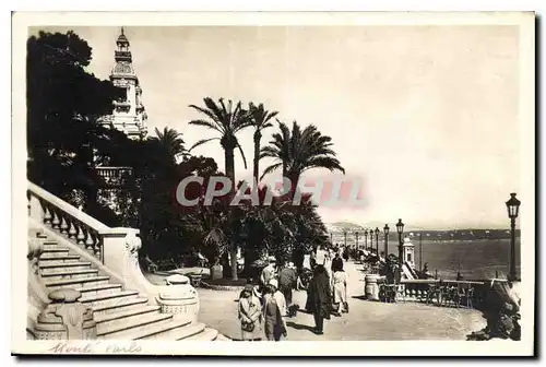 Cartes postales Monte Carlo les Terrasses du casino