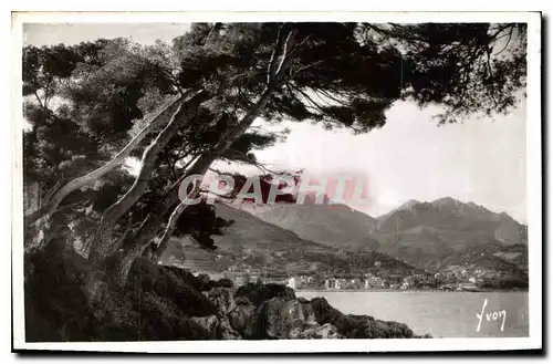 Ansichtskarte AK Menton Alpes Mmes Le Massif des Alpes vu du Cap Martin