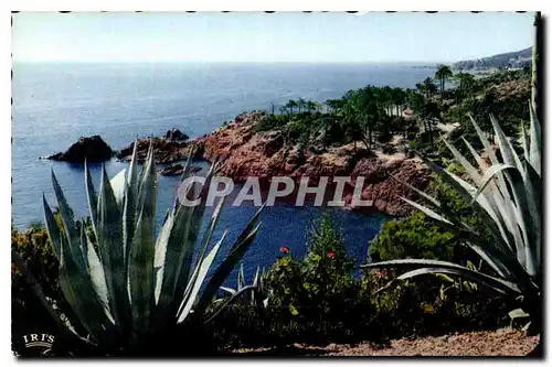 Cartes postales Reflets de la Cote d'Azur La Corniche d'Or Rivages Mediterranee