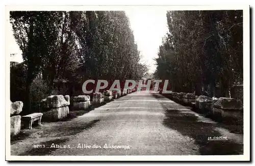 Cartes postales Arles Allee des Alyscamps