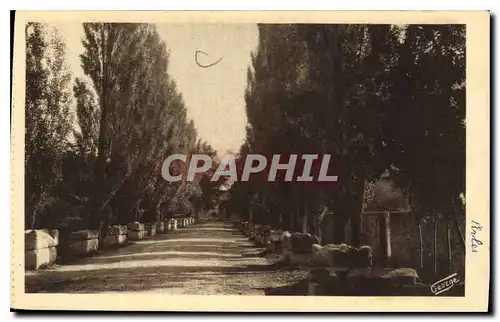 Cartes postales Arles sur Phone Les Alyscamps Allee des Tombeaux