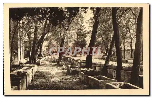Cartes postales Arles Les Alyscamps Champs Elysees Romains