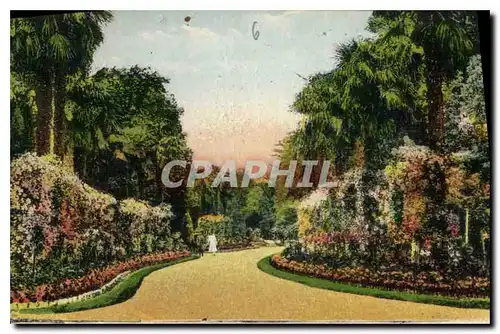 Cartes postales Tarbes Jardin Massey l'Allee des Rosiers