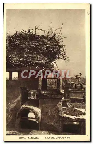 Cartes postales Alsace Nid de Cigognes