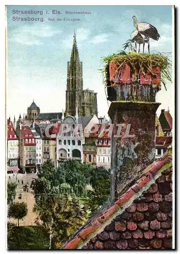 Cartes postales Strasbourg Nid de Cigogne