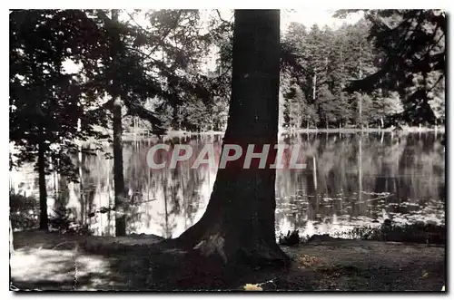 Cartes postales Les Vosges Pittoresque Vexaincourt Lac de Lamaix