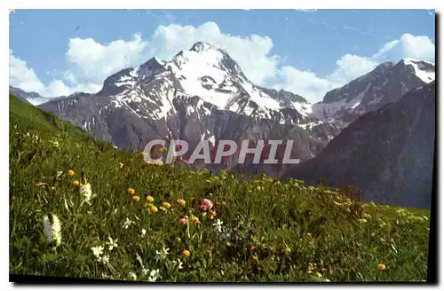 Ansichtskarte AK Les Alpes en couleurs naturelles printemps en haute montagne