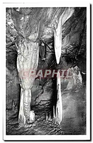 Cartes postales Les Pyrenees les grottes de Betharram Stalactites vivantes