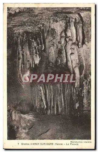 Cartes postales Grottes d'Arcy sur Cure Yonne La Pieuvre