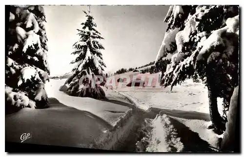 Cartes postales Neige et Soleil