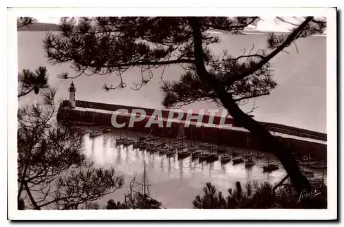 Cartes postales Bretagne Erquy Jolie vue du Port a travers les pins