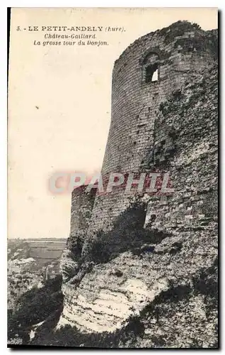 Cartes postales Le Petit Andely Chateau Gaillard La grosse tour du Donjon