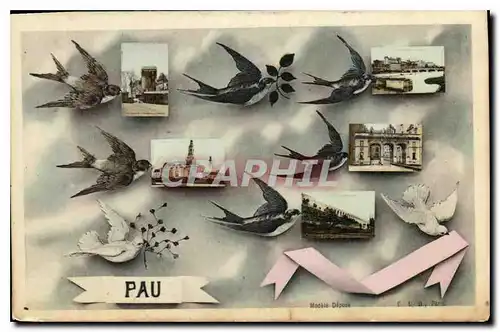 Cartes postales Pau