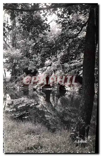 Ansichtskarte AK Chateau Thierry Aisne L'Etang et la Grotte