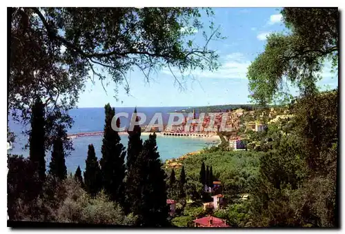 Cartes postales Les Sites merveilleux de la Cote d'Azur Menton A M Vue generale prise a travers les oliviers