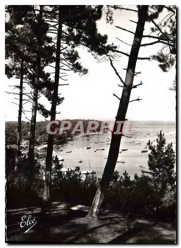 Cartes postales Bassin d'Arcachon Gironde Echappee sur le Bassin a travers les Pins