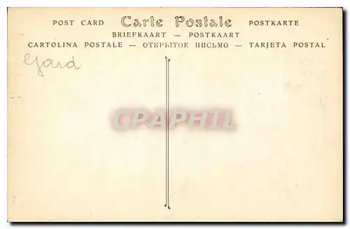 Cartes postales Le Pont du Gard vue prise sur la flanc