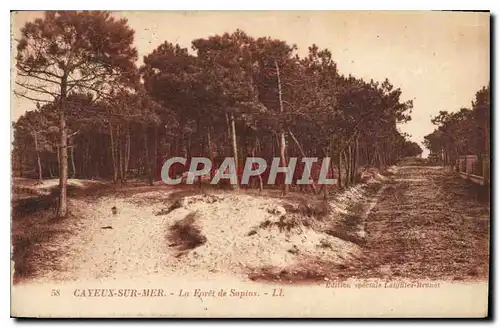 Ansichtskarte AK Cayeux Sud Mer la Foret de Sapins