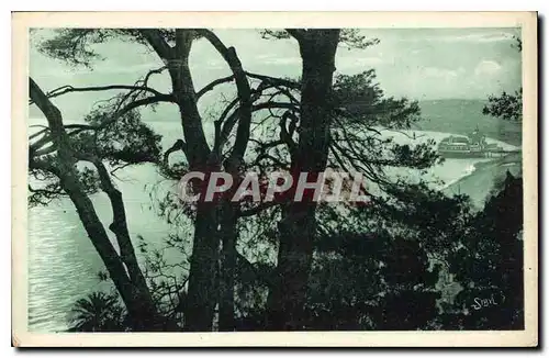 Cartes postales Nice la Baie des Anges a travers les Pins du Chateau