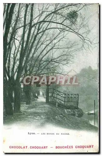 Cartes postales Lyon les Bords du Rhone